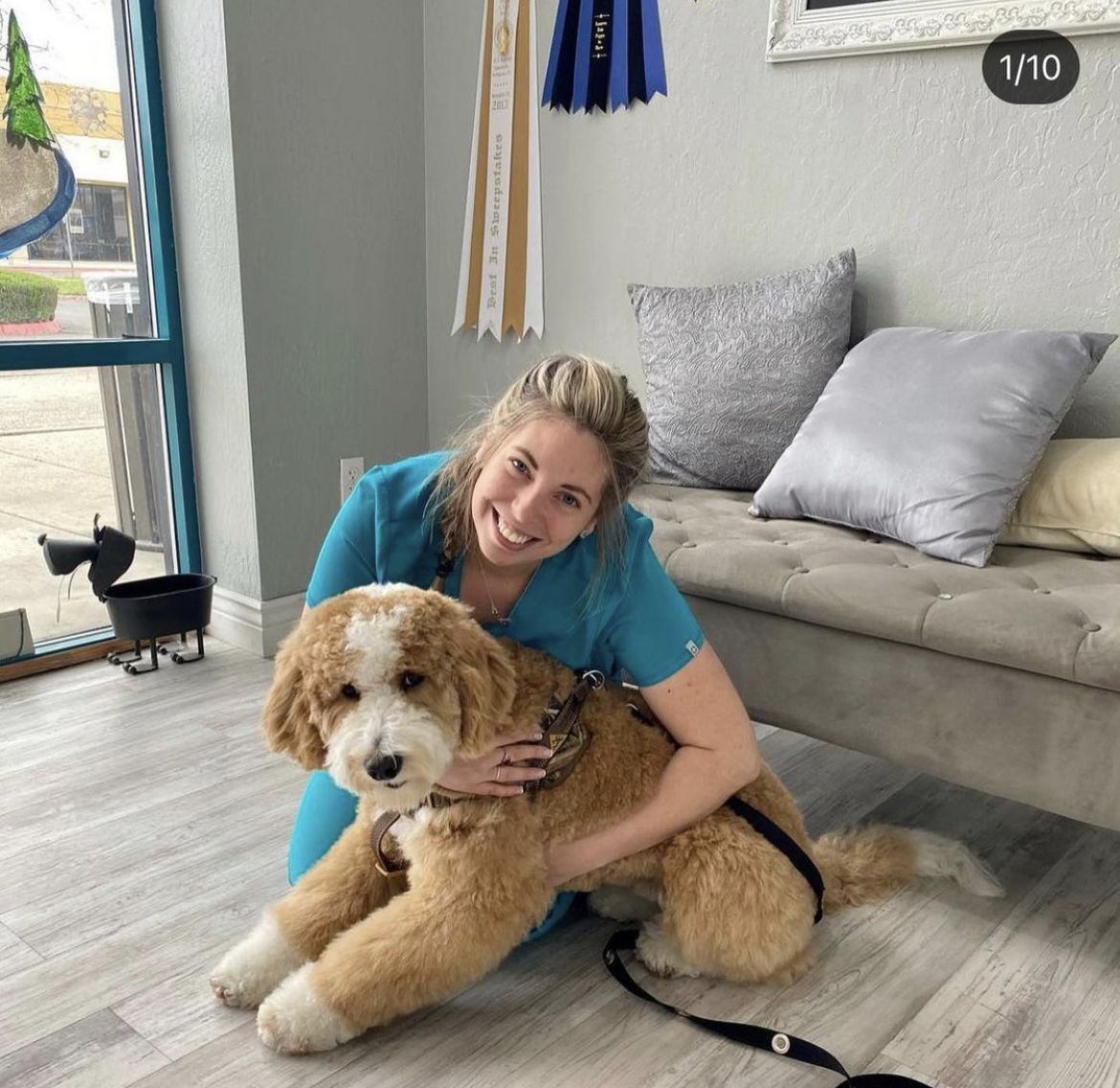 A groomer at Hand to Paws hugging a freshly groomed doodle in the lobby