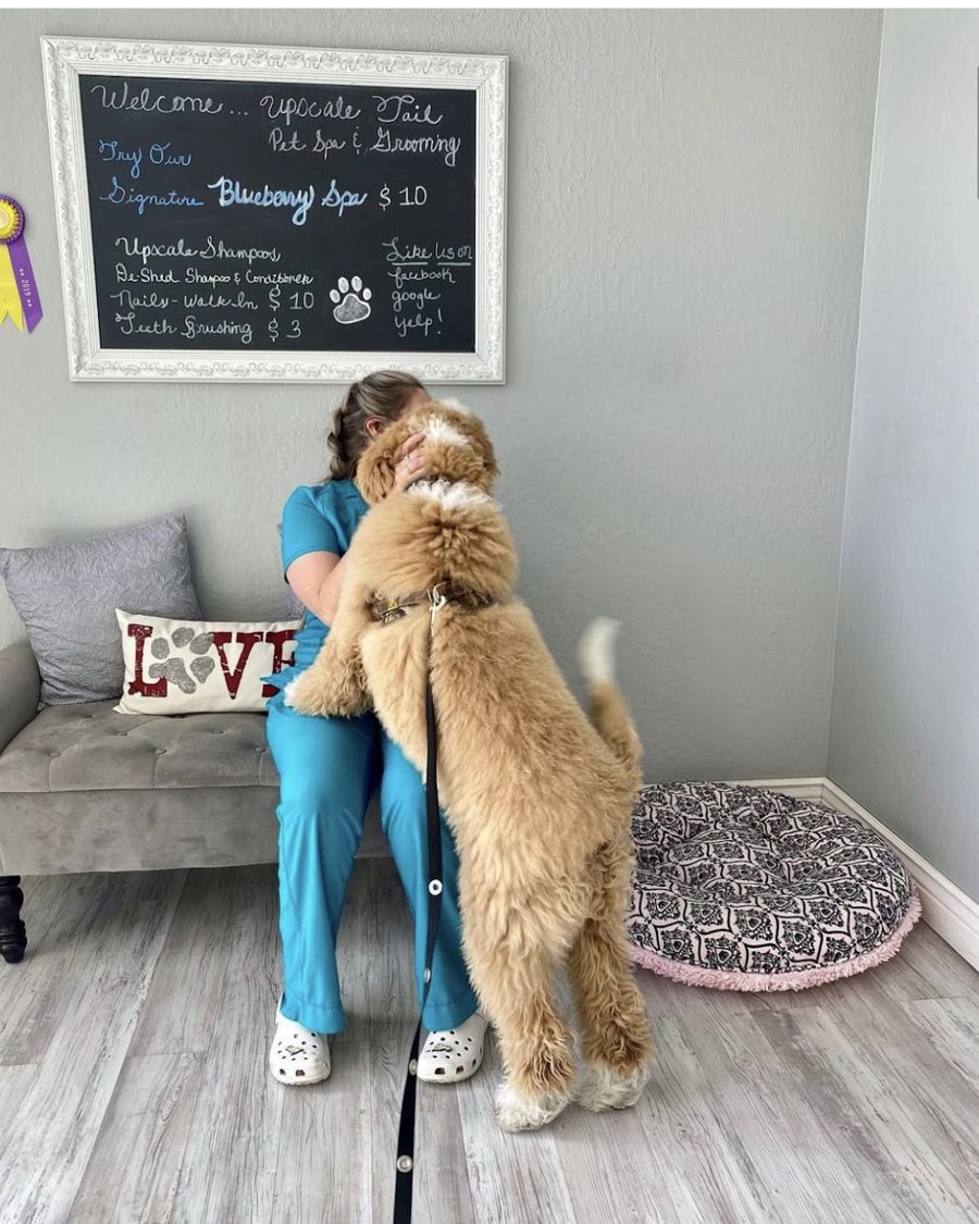 A big doodle getting a hug in the lobby